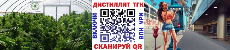 KRAKEN сайт  Судак  ТГК вейп 